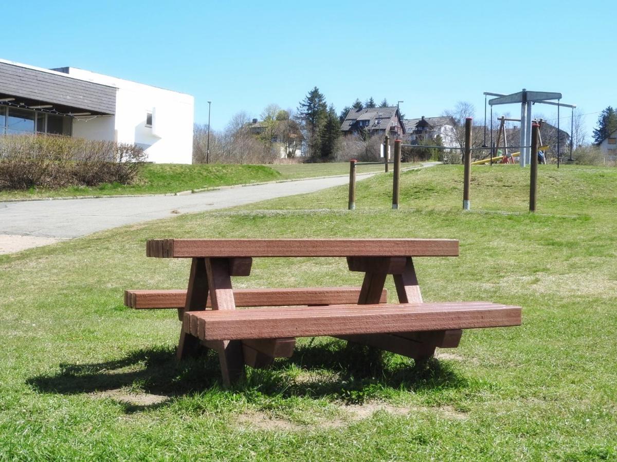 Appartement Zur Bergoase Mi Schwimmbad Hohegeiß Exteriér fotografie