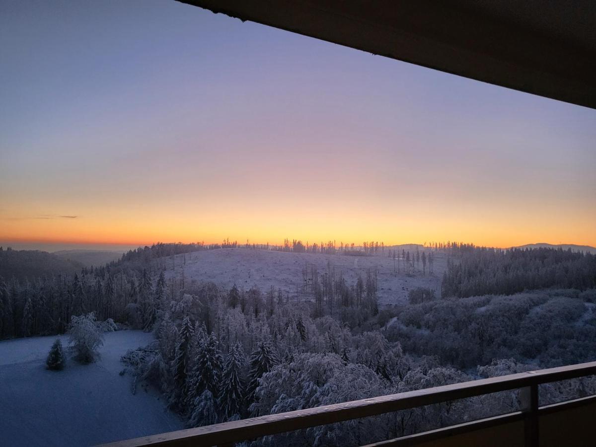 Appartement Zur Bergoase Mi Schwimmbad Hohegeiß Exteriér fotografie